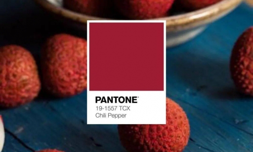 “一骑红尘妃子笑，无人知是荔枝来”