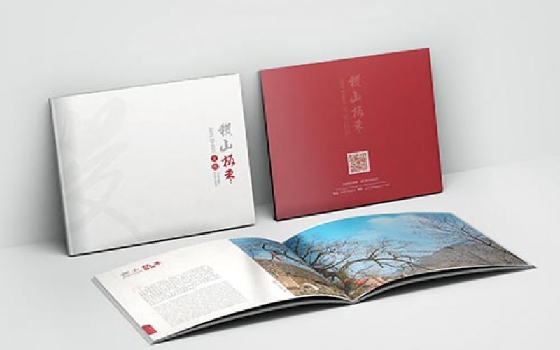 山西稷山板枣画册设计