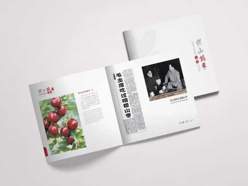 山西稷山板枣画册设计