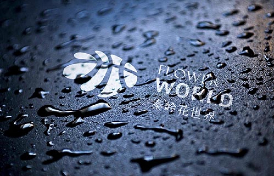 秦岭花世界logo-标识设计