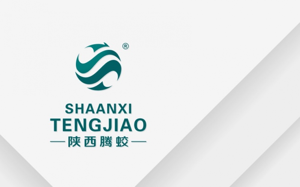 腾蛟水电VI设计