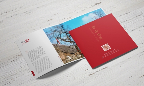 西安企业画册设计哪家专业？彤伟设计300+案例